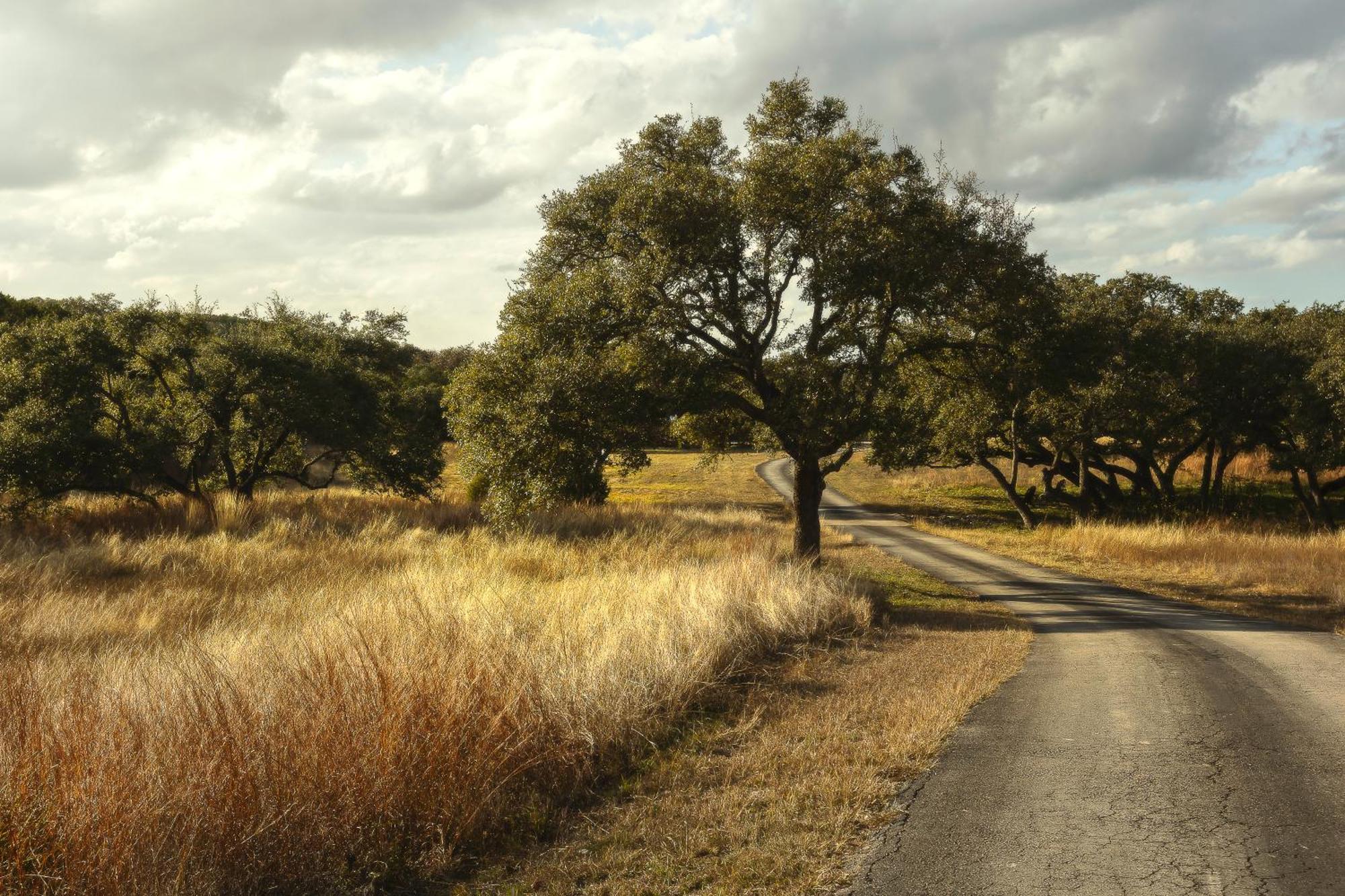 Blair House Inn And Spa Wimberley Buitenkant foto