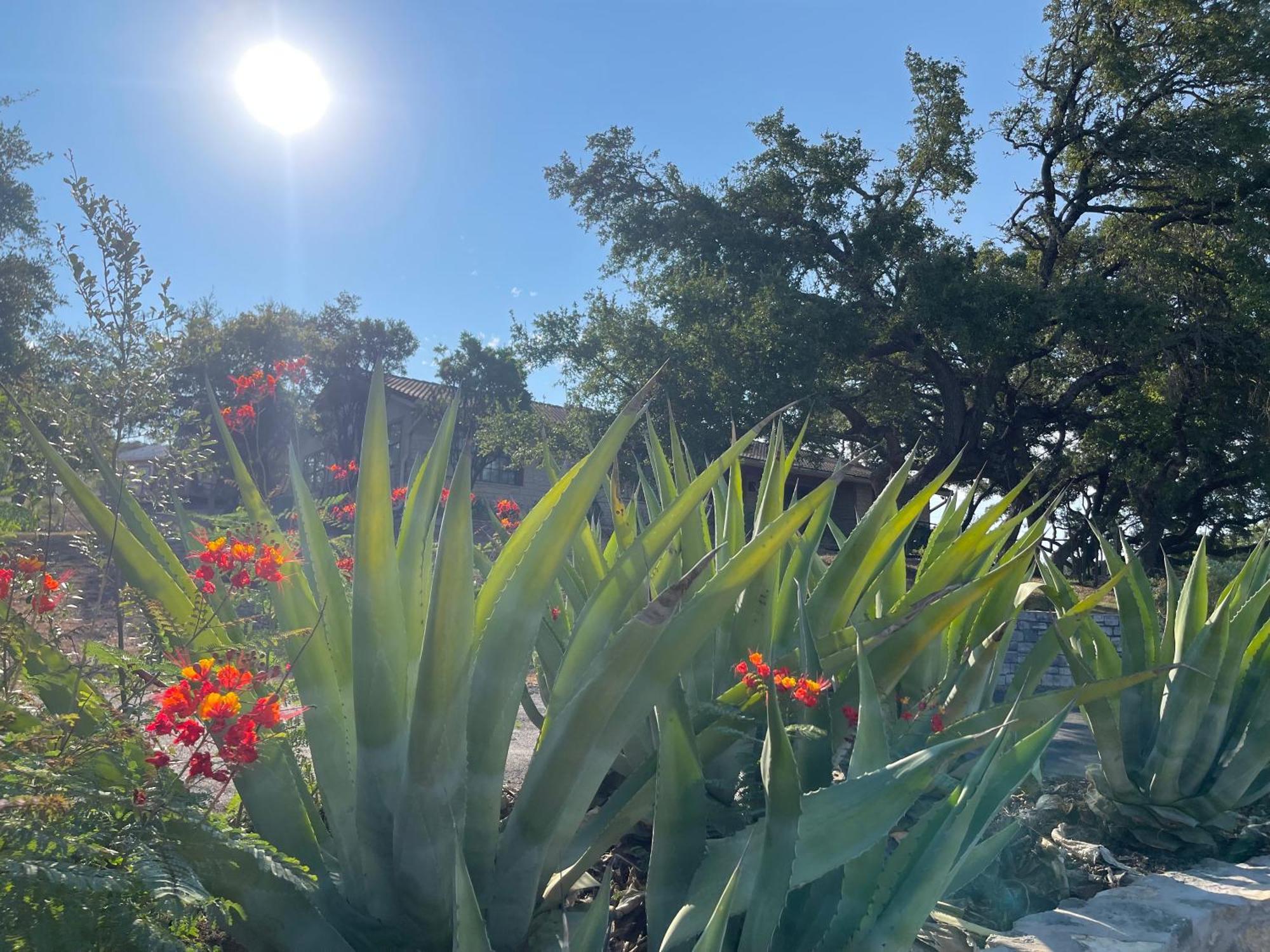 Blair House Inn And Spa Wimberley Buitenkant foto